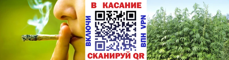 ТГК Гай