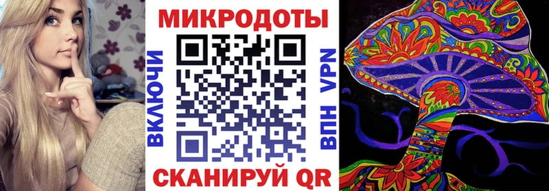 Псилоцибиновые грибы прущие грибы  Гай 